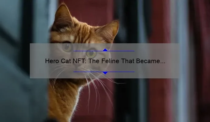 Hero Cat NFT: The Feline That Became a Digital Legend
