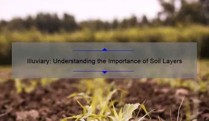 Illuviary: Understanding the Importance of Soil Layers