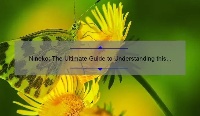 Nineko: The Ultimate Guide to Understanding this Fascinating Creature