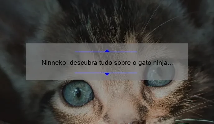 Ninneko: descubra tudo sobre o gato ninja japonês