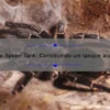 Projeto Spider Tank: Construindo um tanque aranha incrível!