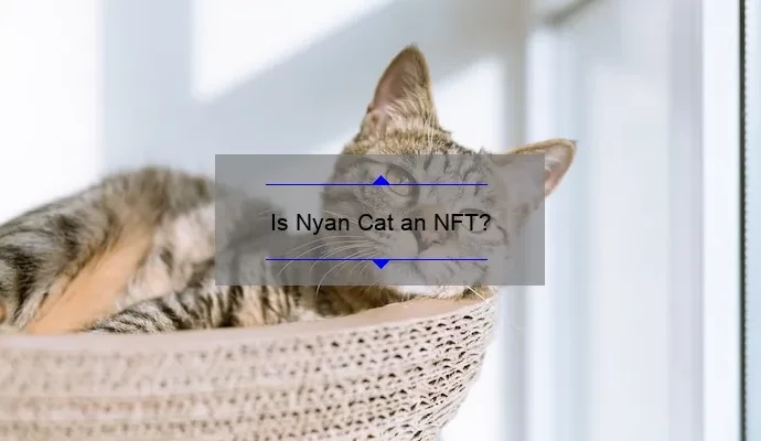 Is Nyan Cat an NFT?