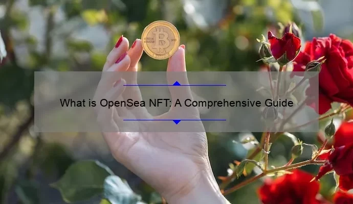 What is OpenSea NFT: A Comprehensive Guide