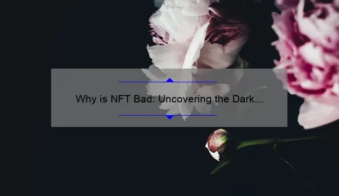 Why is NFT Bad: Uncovering the Dark Side of Non-Fungible Tokens